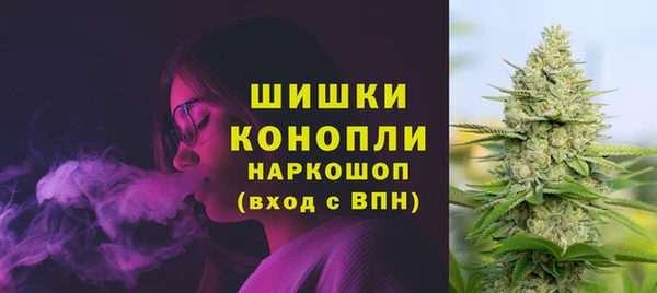 спайс Рославль