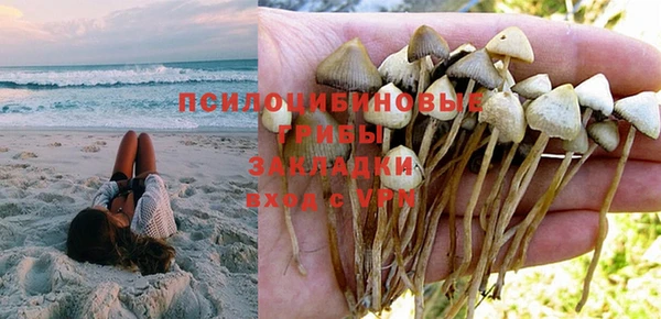 а пвп мука Ростов