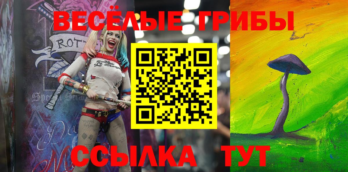 Псилоцибиновые грибы Psilocybe Узловая
