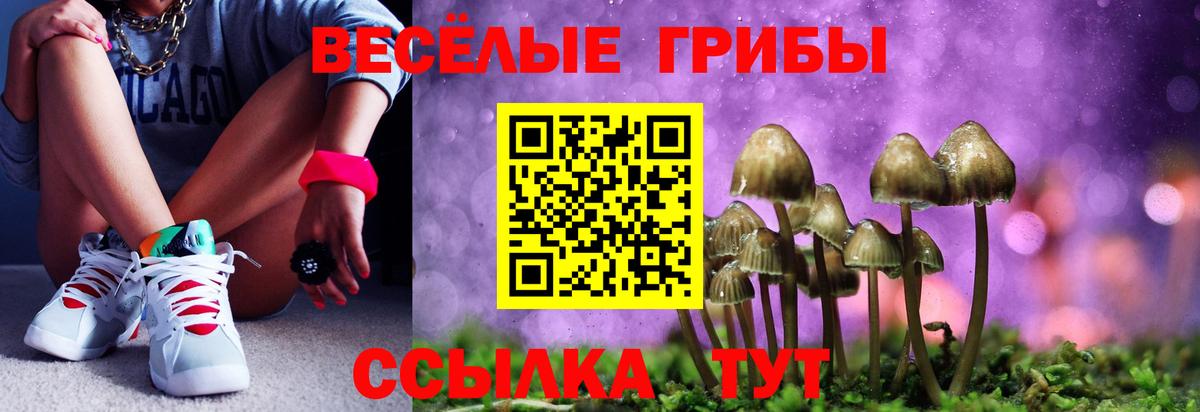 Псилоцибиновые грибы мухоморы  дарнет шоп  Узловая  Вход с VPN 